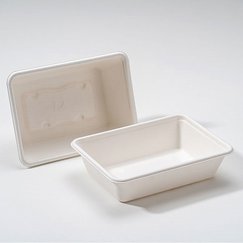 အဘယ်ကြောင့် Bagasse Square Box သည် ရေရှည်တည်တံ့သောအစားအစာထုပ်ပိုးမှု၏အနာဂတ်ဖြစ်သနည်း။